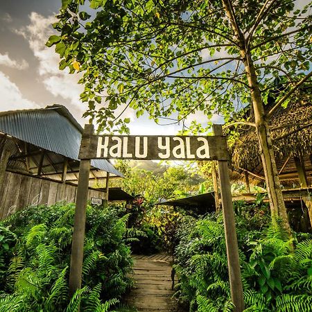 The Jungle Lodge At Kalu Yala Panama City Exteriör bild