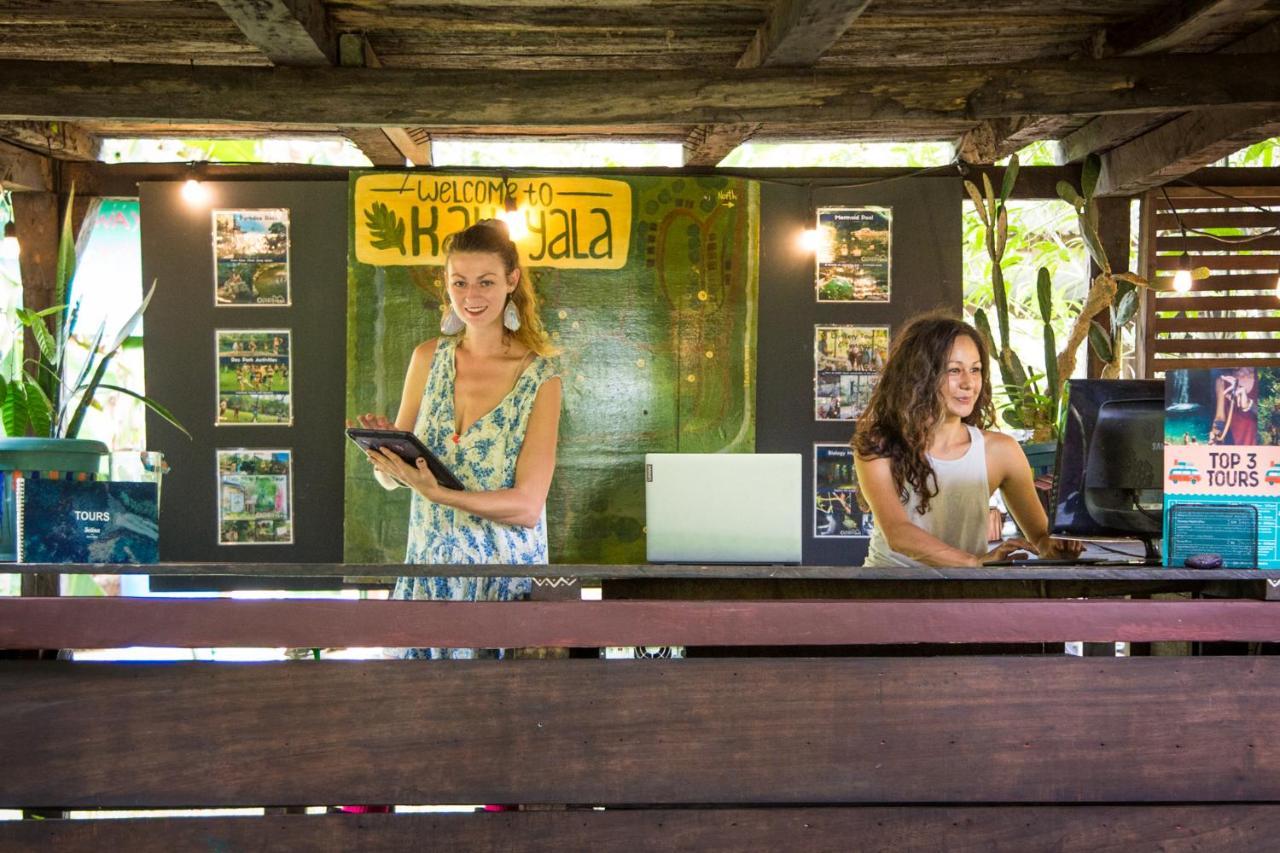 The Jungle Lodge At Kalu Yala Panama City Exteriör bild