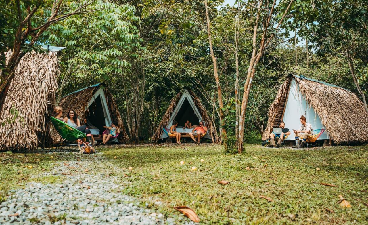 The Jungle Lodge At Kalu Yala Panama City Exteriör bild