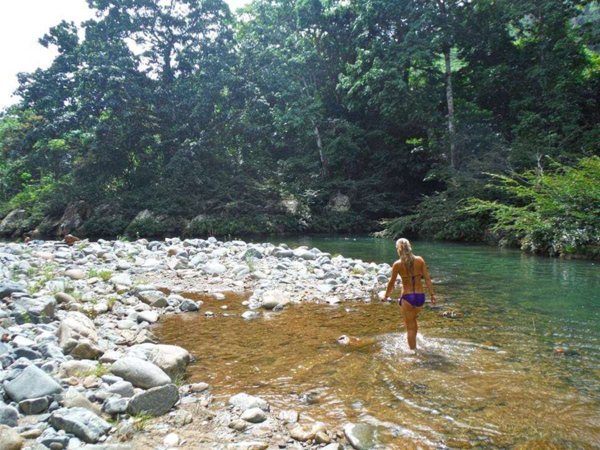 The Jungle Lodge At Kalu Yala Panama City Exteriör bild